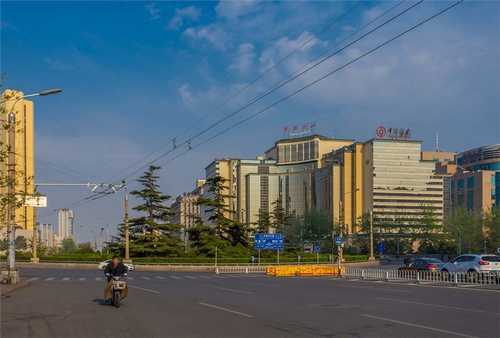 虹口区品牌艺术指导推荐