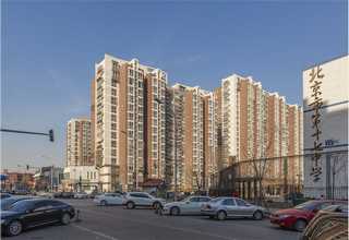 东营树枝粉碎机