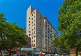 山东国产石头布商家